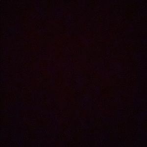 Meet your Posher, Kat